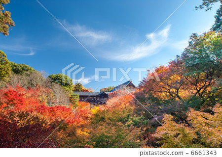 東福寺通天橋 6661343