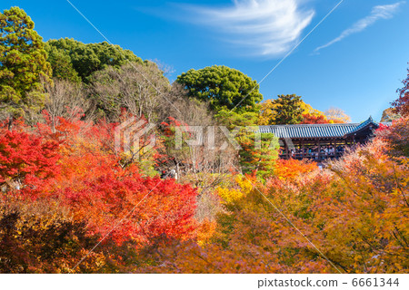 Tofukuji Temple Tsutenbashi 6661344