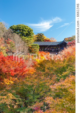 東福寺通天橋 6661346