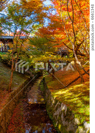 東福寺 東福寺 6661348