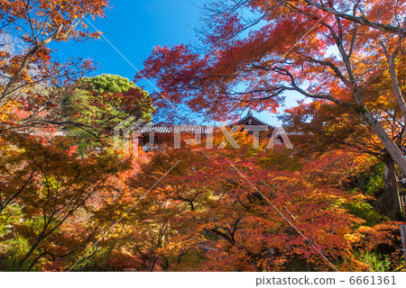 東福寺通天橋 東福寺通天橋 6661361