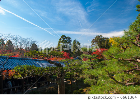 東福寺 6661364