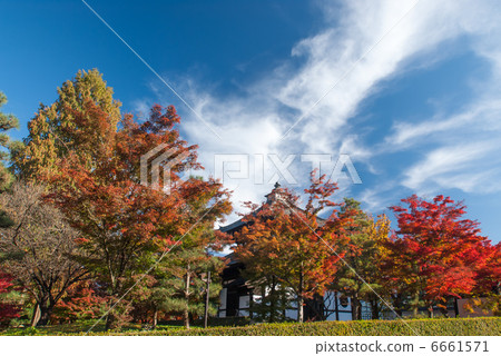 Tofukuji Temple 6661571
