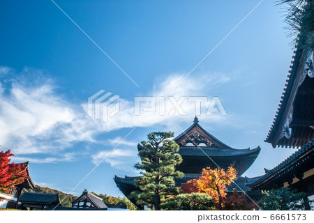 東福寺 東福寺 6661573