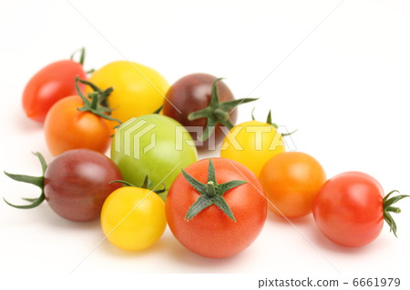 Mini Tomato Colorful Mini Tomato Colorful 6661979