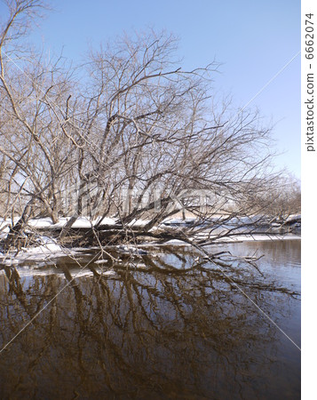 Kushiro Marsh 6662074