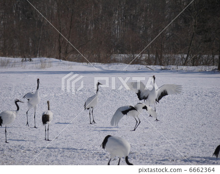 阿寒國際起重機中心 6662364
