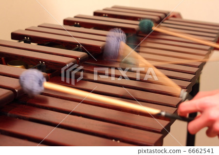 Marimba Marimba 6662541
