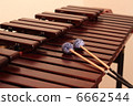 Marimba 6662544
