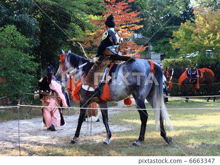Flower horse 6663347