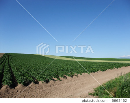 Patchwork Hill Patchwork Hill 6663462