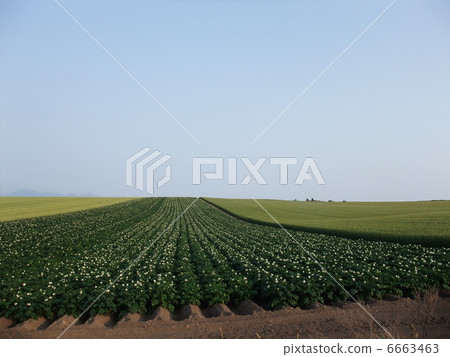 Patchwork Hill Patchwork Hill 6663463