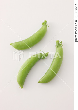 豌豆 豌豆 6663654