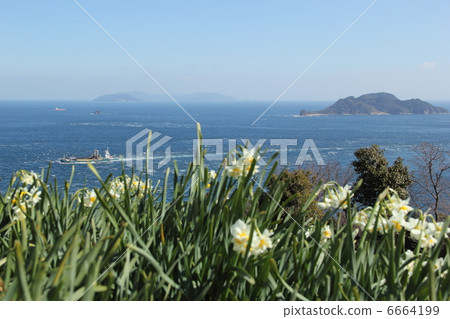 Toyosu Channel 6664199