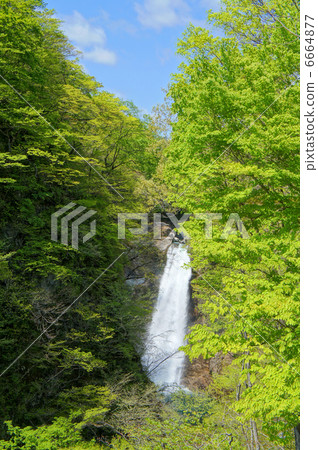 Akiu Waterfall (Sendai City, Miyagi Prefecture) 6664877