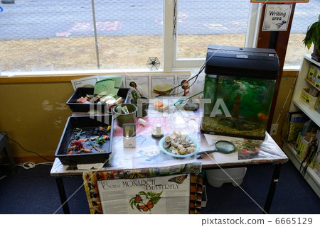 新西蘭學校 新西蘭學校 6665129