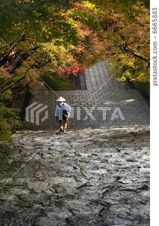 Shikoku Pilgrimage 6665885