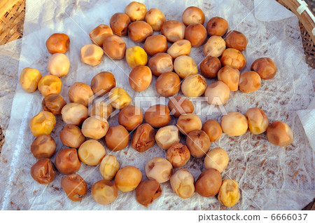 Salted plum Salted plum 6666037