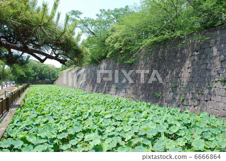 Tsurumaru castle 6666864