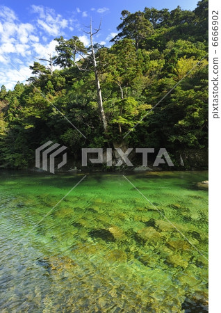 Yakushima's forest and mountain stream Yakushima's forest and mountain stream 6666902