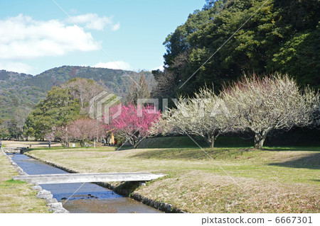 Dazaifu Government official site Dazaifu Government official site 6667301