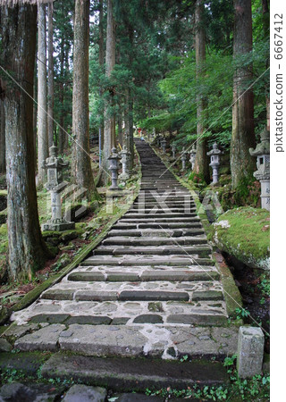Takasumi Shrine 6667412
