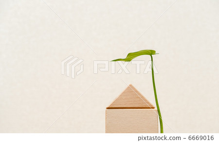 Building blocks and leaves 6669016