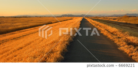 黃昏的晚上 6669221