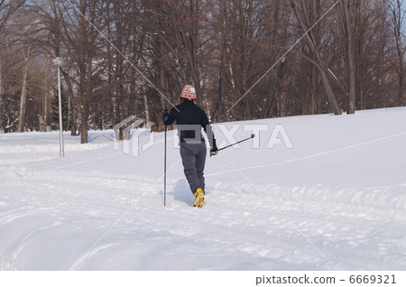 Walking ski 6669321