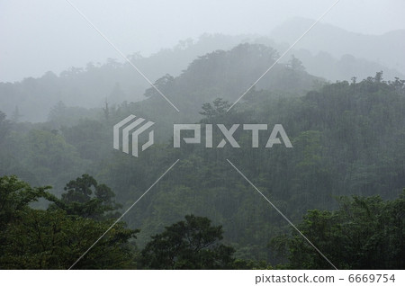 Yakushima rain 6669754