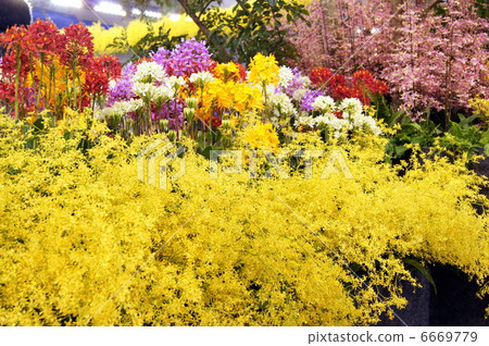 Yang Run (World Lunch Exhibition) 6669779