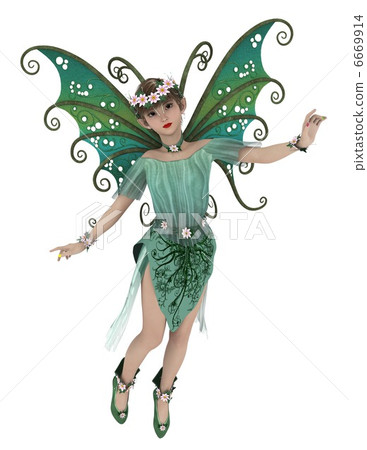 fairy fairy 6669914