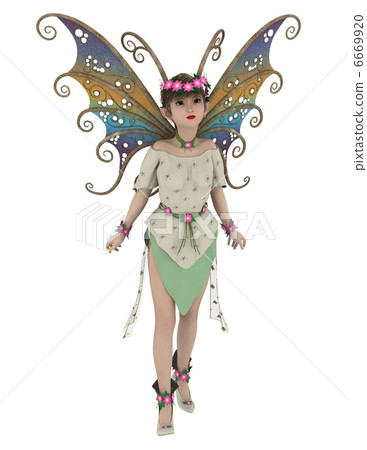fairy fairy 6669920