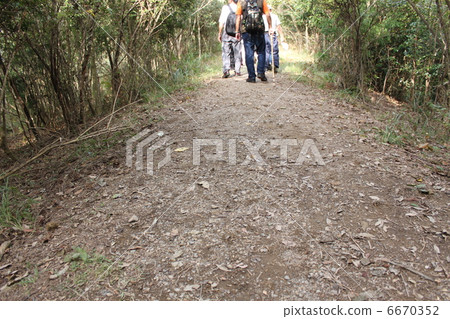 Senior walking in Kumano Kodo 6670352