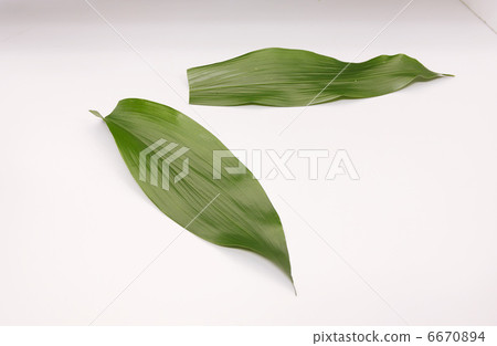 Clipping material 6670894