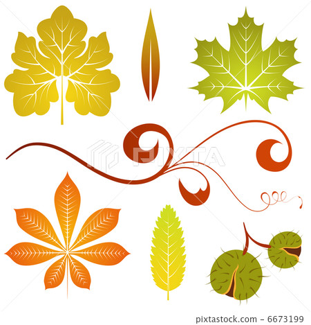 Autumn leaves 6673199