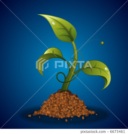 Green Sprout Green Sprout 6673461