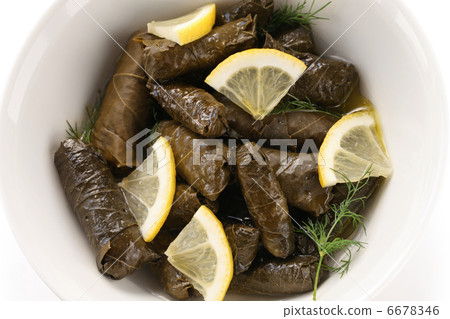 Dolma 6678346