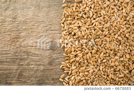 wheat grain on wood 6678883