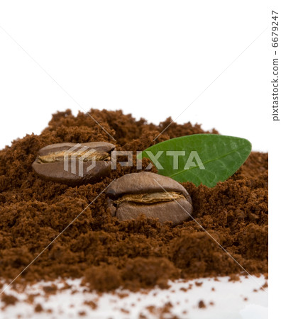 coffee beans and powder isolated on white coffee beans and powder isolated on white 6679247