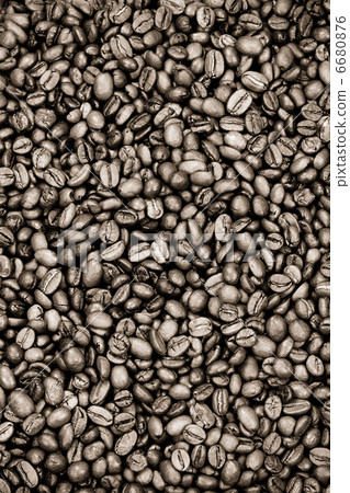 coffee beans on sepia coffee beans on sepia 6680876