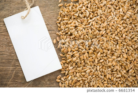 wheat grain and tag price 6681354