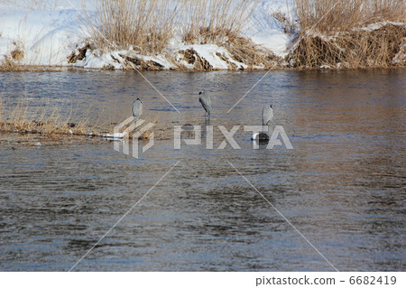 The Kitakami River near the Morioka Station and Ao Sangi 6682419