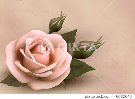 Retro background with beautiful pink rose with buds. Vector illu 6682643