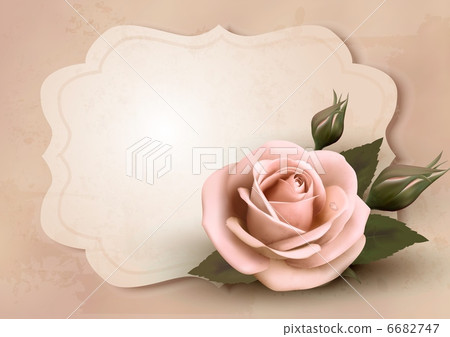 Retro greeting card with pink rose. Vector illustration. 6682747