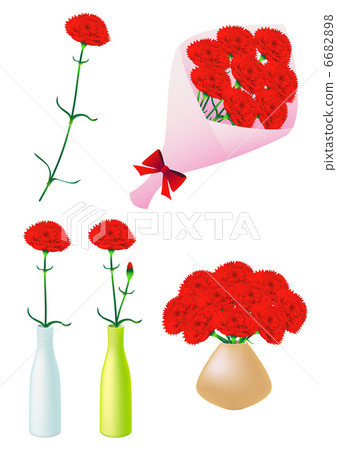 康乃馨 6682898
