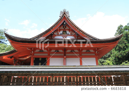Kochi City Ichinomiya, Tosa Ichinomiya "Tosa Shrine" East side of the Main Hall (National License) 6683818