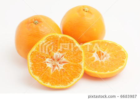 Harumi oranges fruit Harumi oranges fruit 6683987