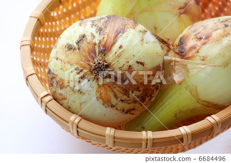 New Onion 6684496