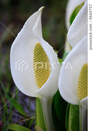 Norikura Heights的Mizubasha·Ichinose-sen 6684757